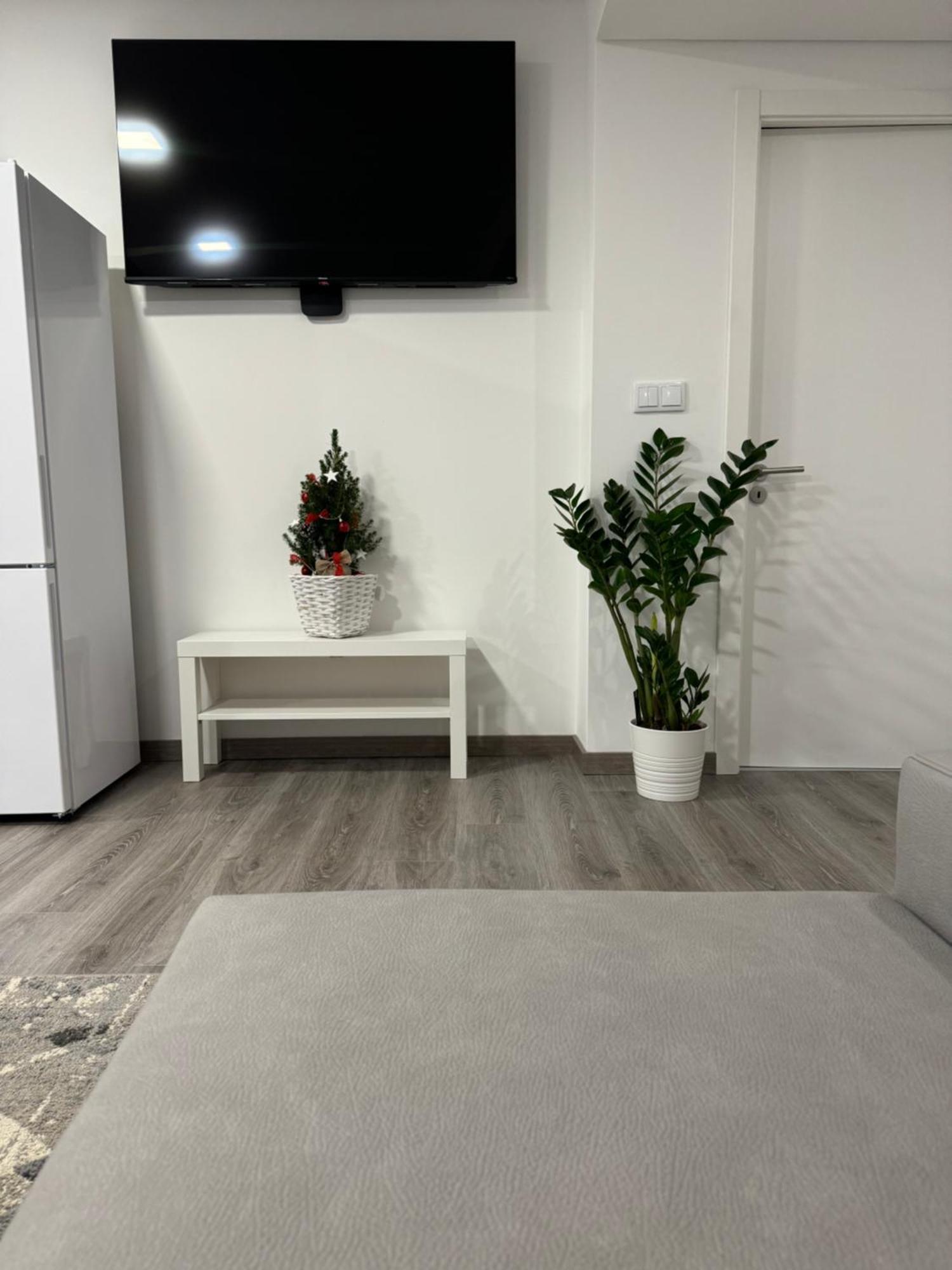 Casamaedouro Apartment