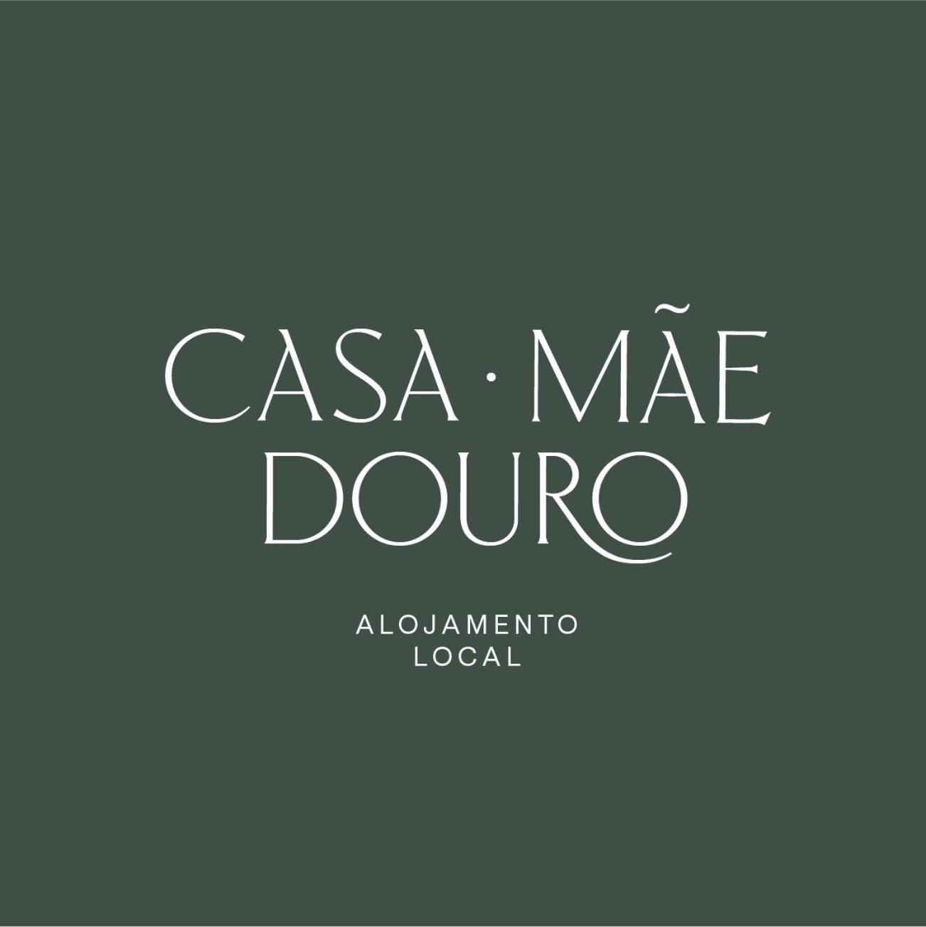 Apartment Casamaedouro Peso da Regua